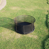 Inground Trampoline