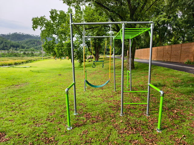 Professional Multi-functional M03 Swing Set & Monkey Bar