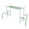 Active Toy Kids Green Monkey Bar for Outdoor