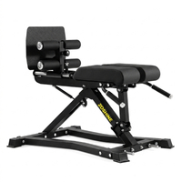BE01 Adjustable Steel Home Back Extension Machine