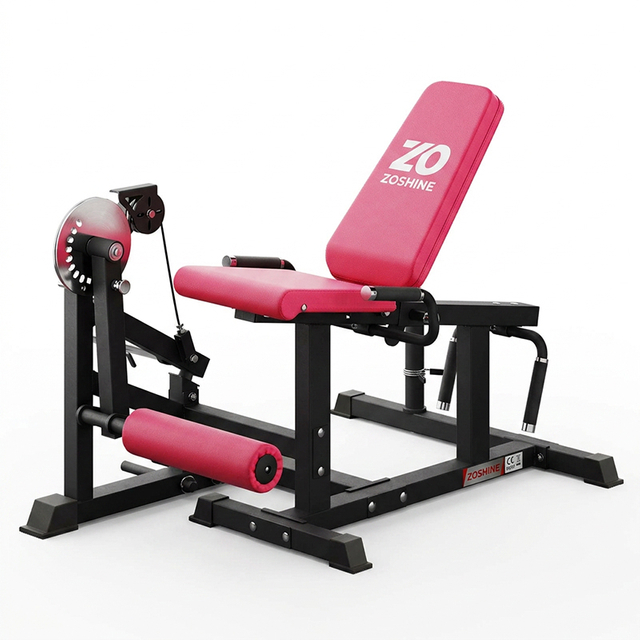 PLC01 325LB Adjustable Steel Leg Extension Curl Machine